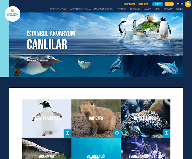 İstanbul Akvaryum